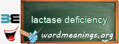 WordMeaning blackboard for lactase deficiency